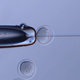 Space sperm being injected into mouse oocytes.